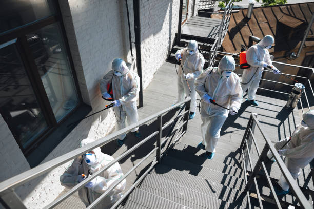 Best Biohazard Mold Removal  in Wellington, CO