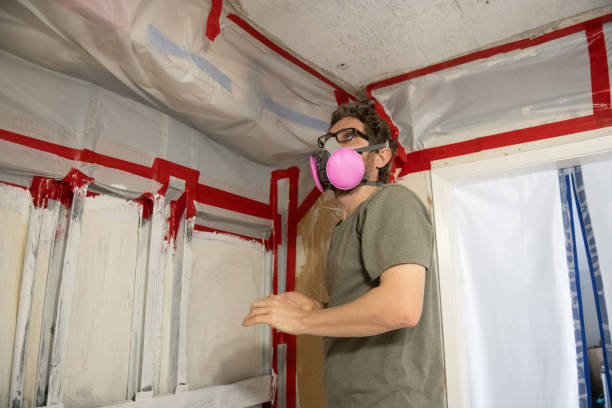 Best Crawl Space Mold Remediation  in Wellington, CO