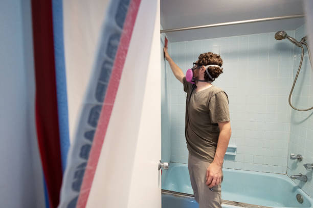 Best Mold Damage Restoration  in Wellington, CO