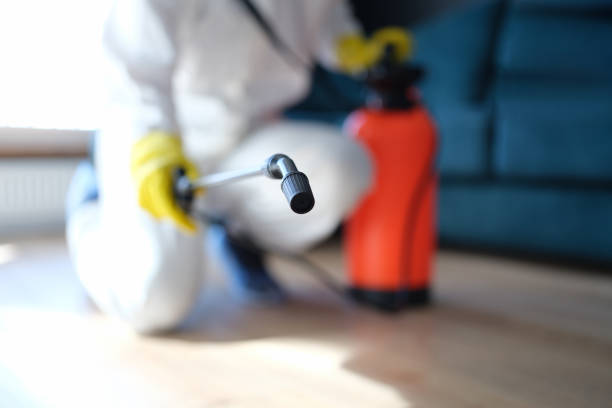 Best Airborne Mold Testing  in Wellington, CO