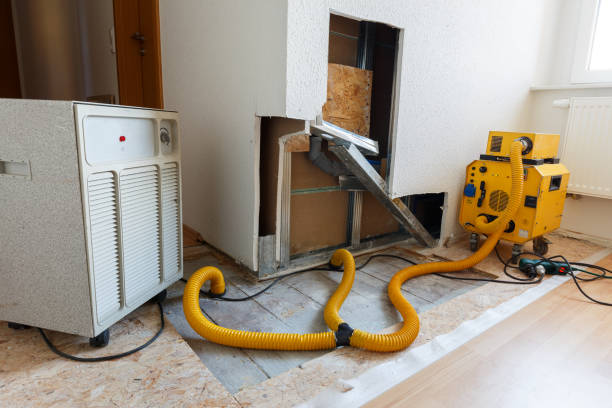 Best Mold Documentation for Insurance Claims  in Wellington, CO