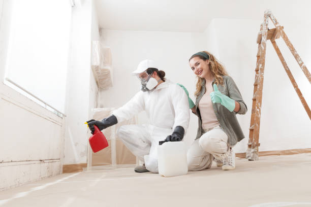 Best Post-Construction Mold Inspection  in Wellington, CO