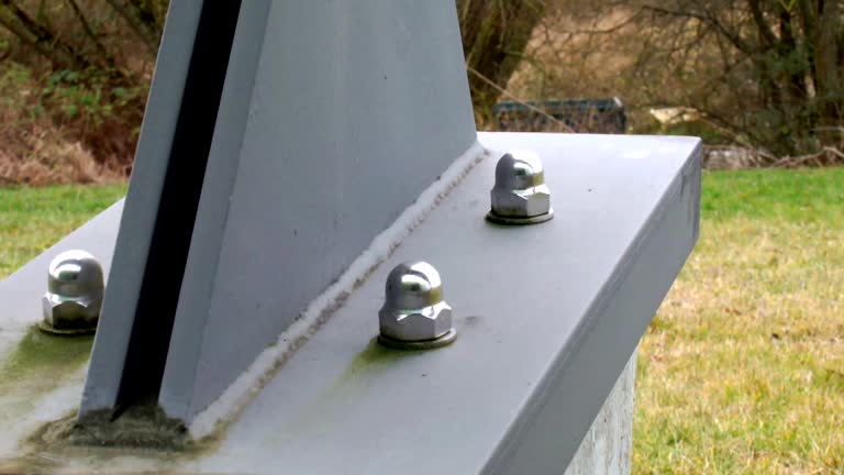 Wellington, CO Mold Removal Pros