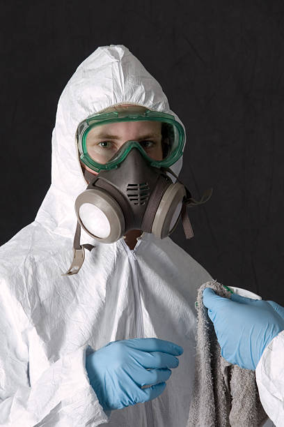 Best Commercial Mold Inspection  in Wellington, CO